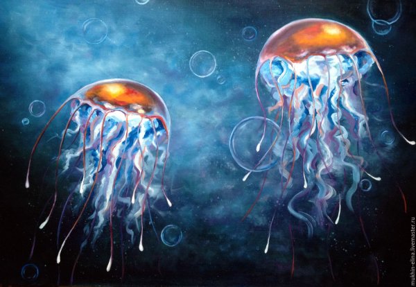Фантастические медузы