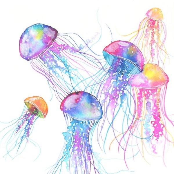 Дизайнерские обои медуза