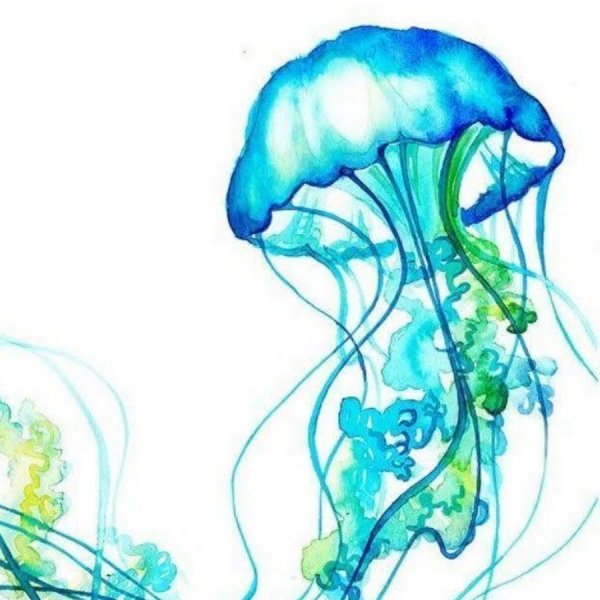 Медуза рисунок