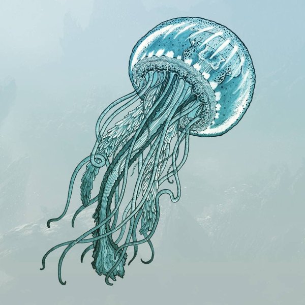 Медуза маркерами