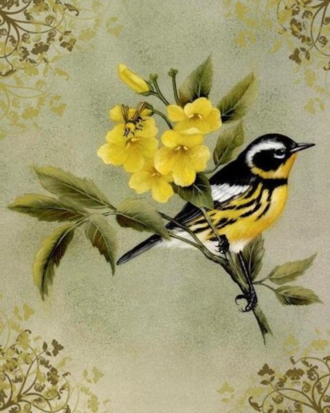 Синичка в цветах