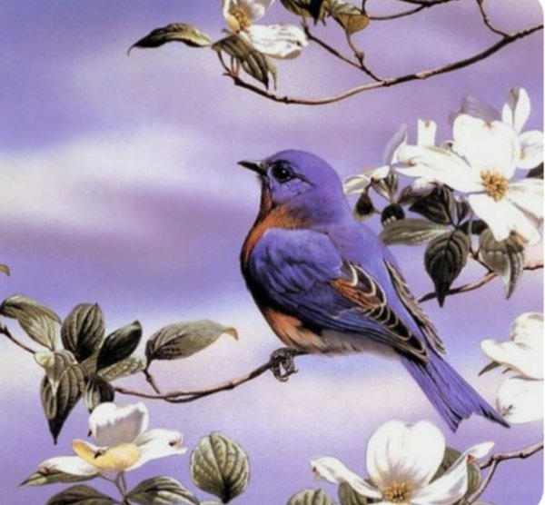 Птицы на веточке