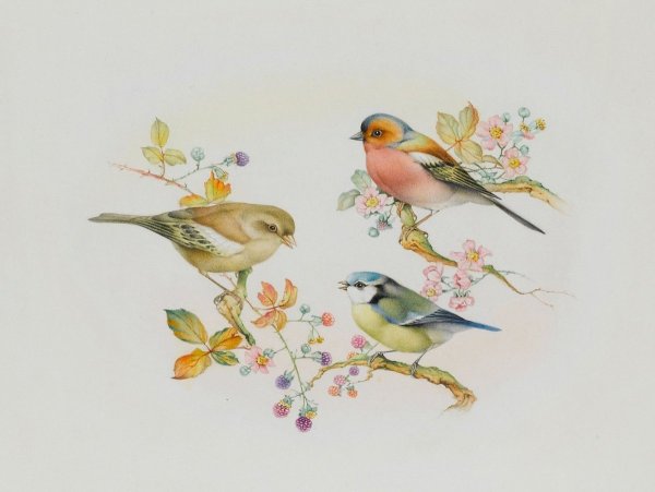 Декупаж птички на ветке