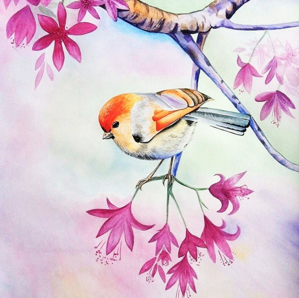 Рисование птицы на ветке