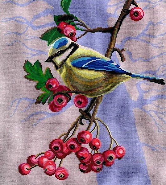 Художник Jan Weenink мир птиц