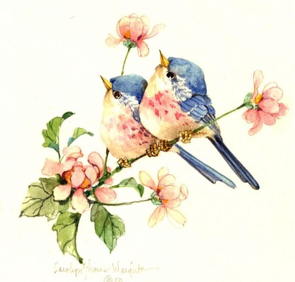 Carolyn Shores Wright картины