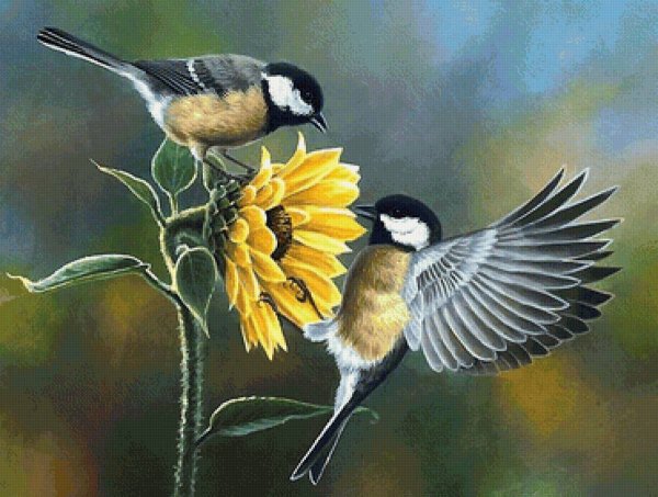 Художник Abraham Hunter птицы