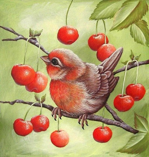 Птица рисунок