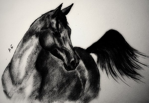 Рисунки углем