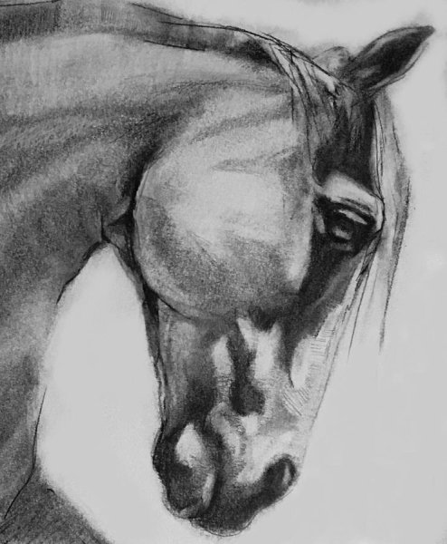 Уголь для рисования