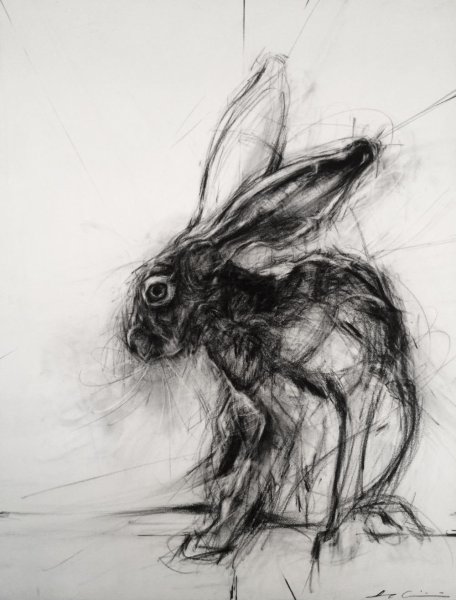 Угорь рисунок