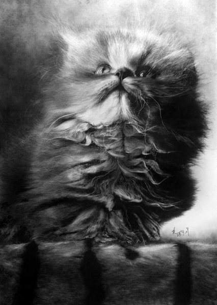 Картины углем