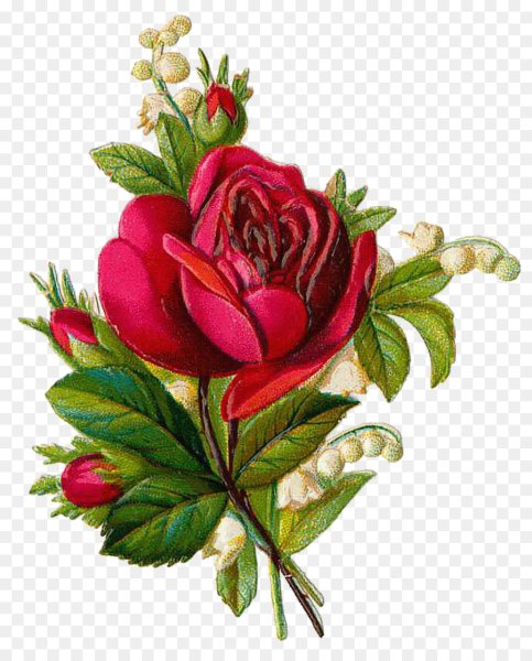 Красивые нарисованные цветы