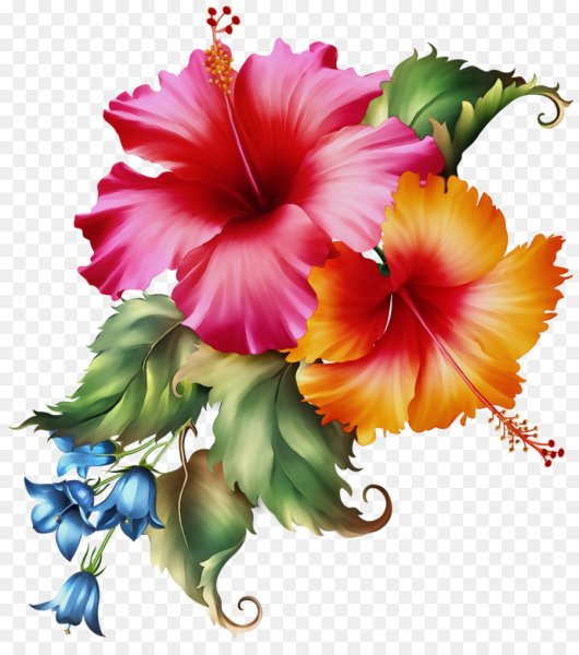 Красивые клипарты цветов