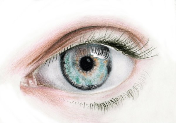 Глаза раскраска для детей