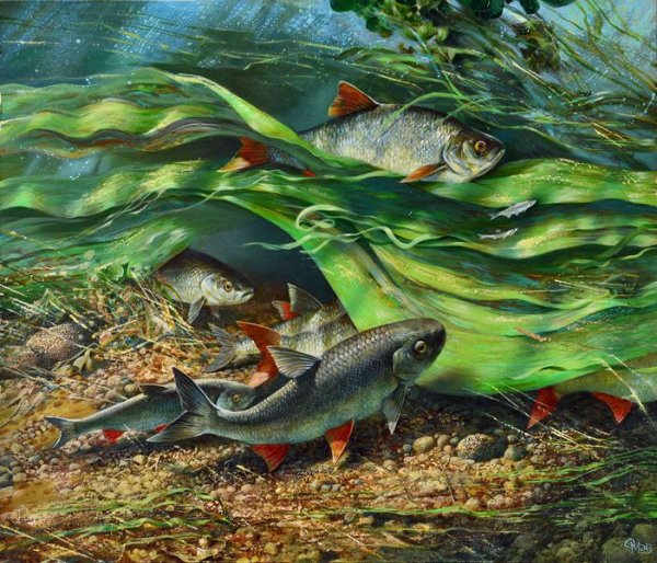 Рыбалка арт