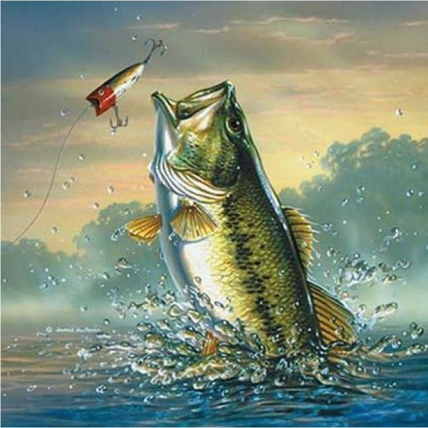 Даррелл Буш картины