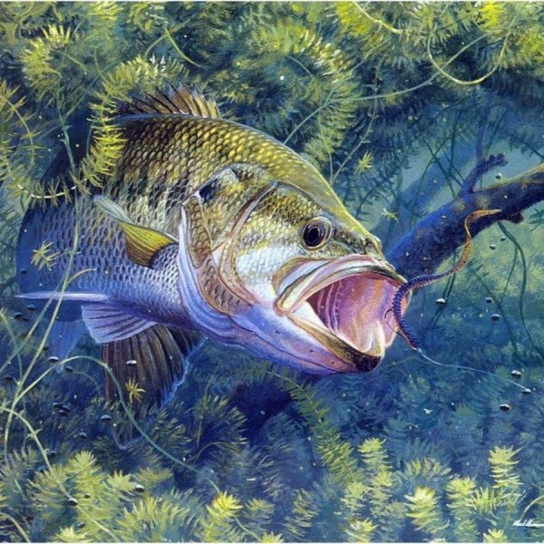 Ал Агнев картины с рыбами