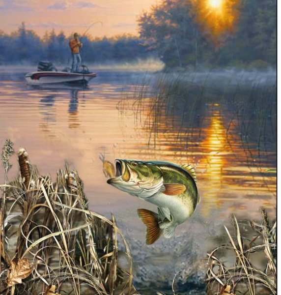 Рыбы и рыбалка