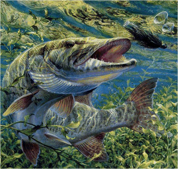 Александр Дегтев рыбалка