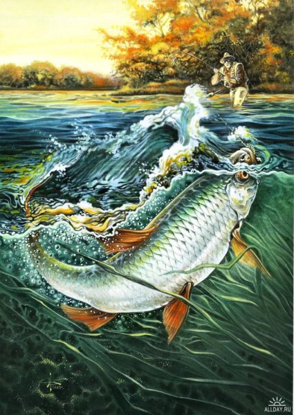 Алмазная мозаика охота рыбалка