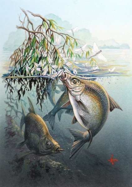 Рыбак на закате