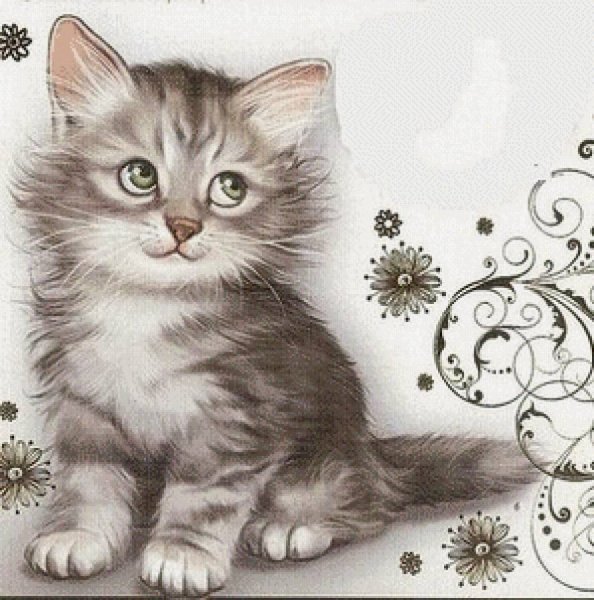 Рисунки котов