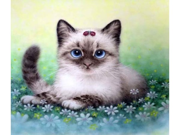 Котики мультяшные