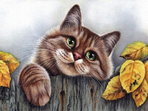 Милые котята рисунки