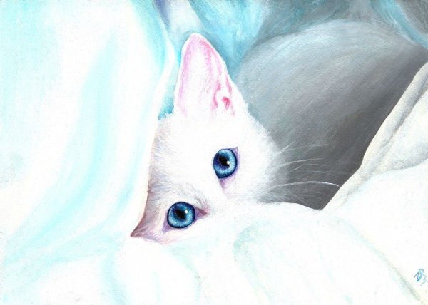 Кошечка Мари Дисней