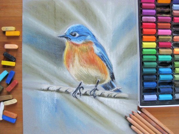 Рисование сухой пастелью для начинающих