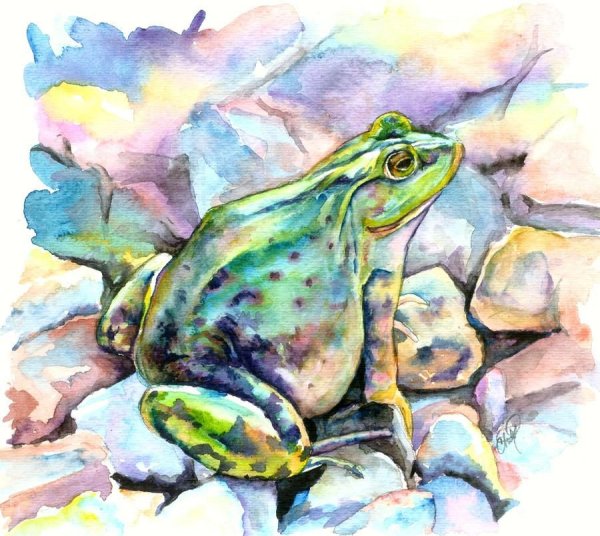 Лягушки в живописи