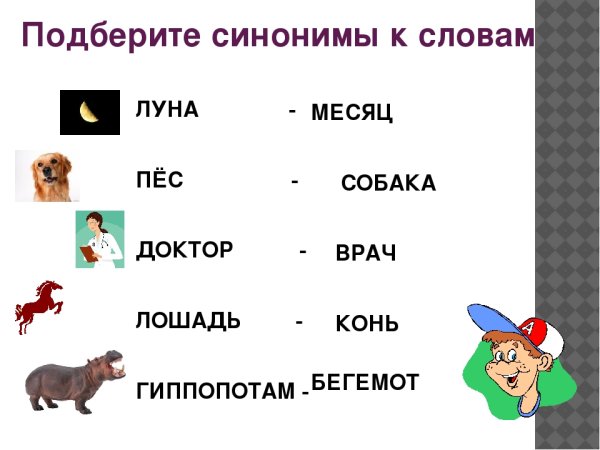 Слова синонимы