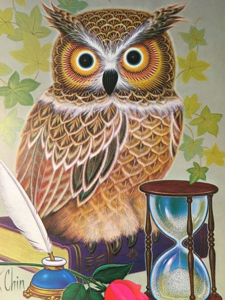 Алмазная мозайка Филин