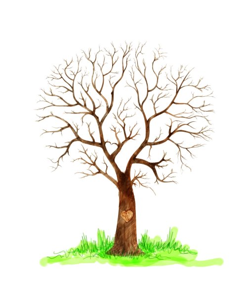 Дерево картинка