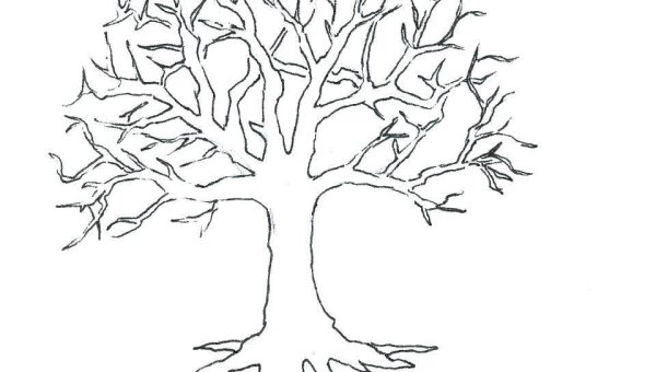 Ствол дерева