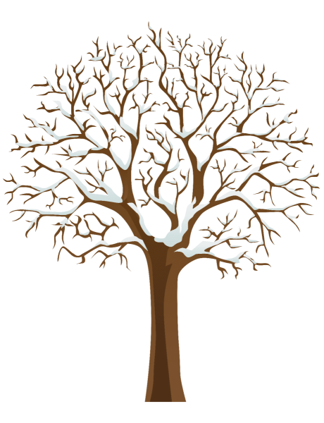 Красивое дерево без листьев