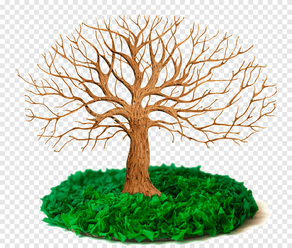 Ствол дерева с ветками