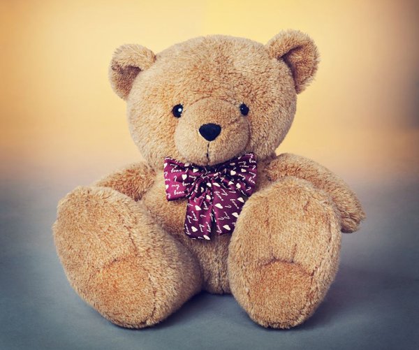 Тедди Беар