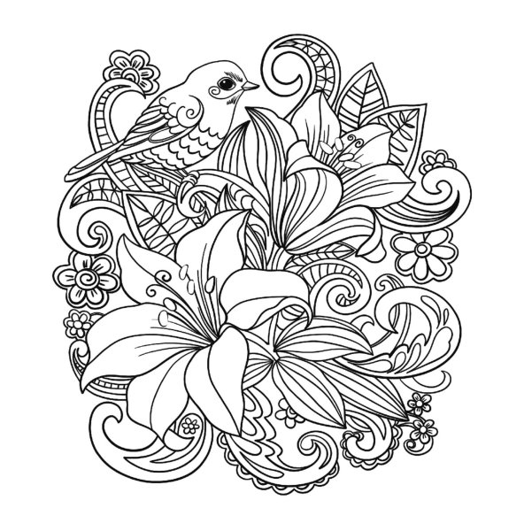 Раскраска антистрее