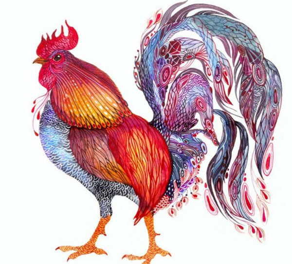 Panna петушок ИГ-1855