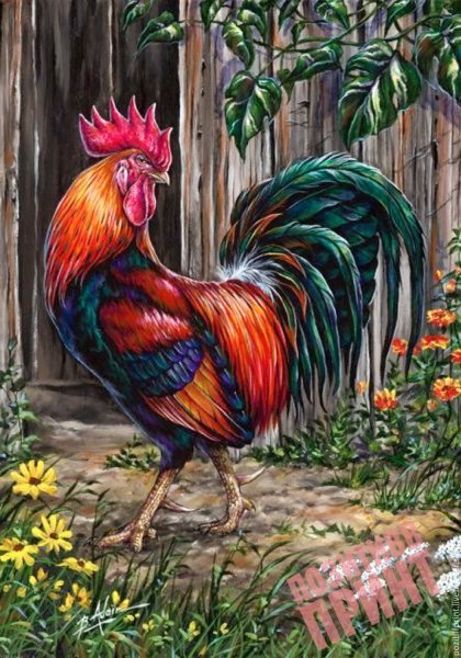 Алмазная мозаика петух