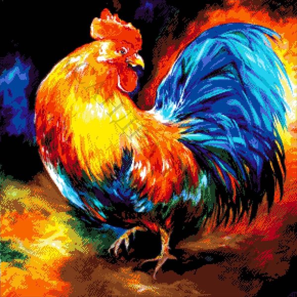 Красивый петух