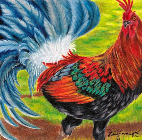 Рисунок петуха в цвете