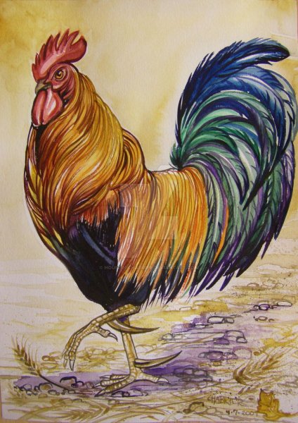 Изображение петуха