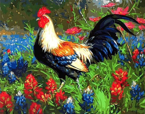 Петух живопись