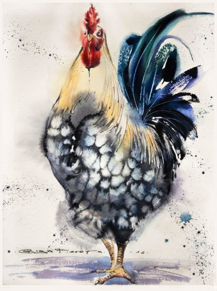 Курица акварелью