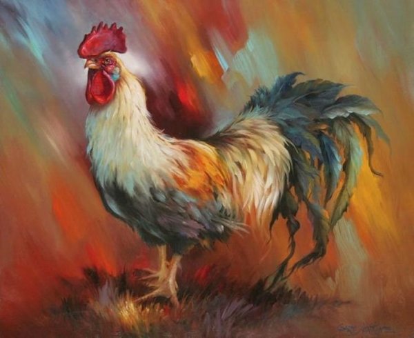 Петух красивый арт