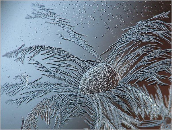 Зимний пейзаж с сосульками