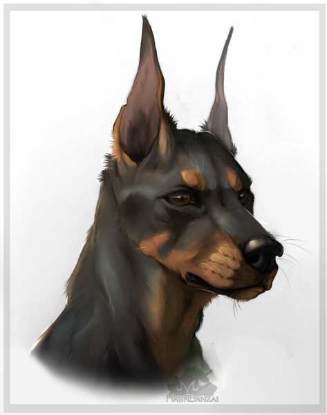 Доберман аниме